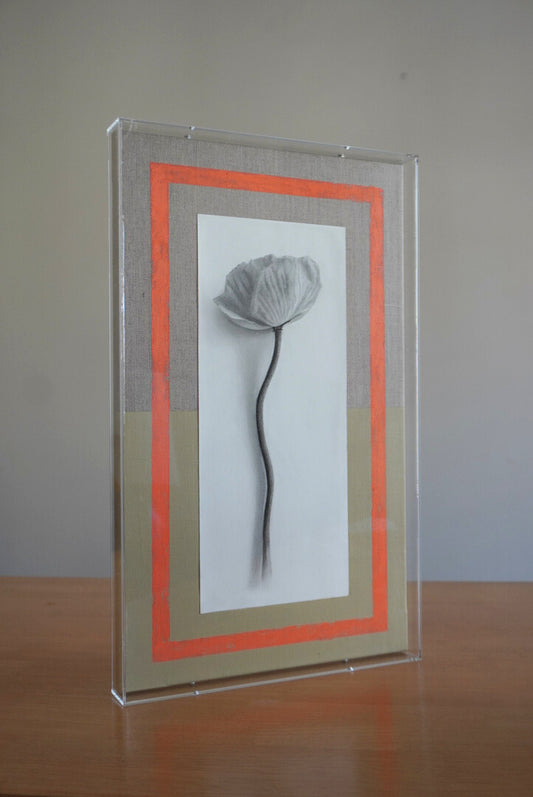 Amapola I